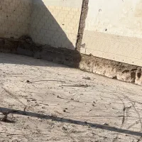 اجرای شفته،خاکبرداری،تانکر آب،آهک|مصالح و تجهیزات ساختمان|سیرجان, |دیوار