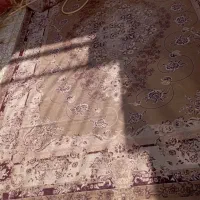 فرش ۹متری زمینه گردویی|فرش|شاهین‌شهر, فیض|دیوار