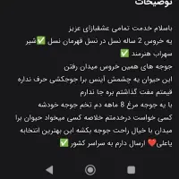 خروس لاری|حیوانات مزرعه|تهران, آبشار|دیوار