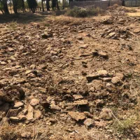 کود گوسفندی|خدمات باغبانی و درختکاری|ماهان, |دیوار