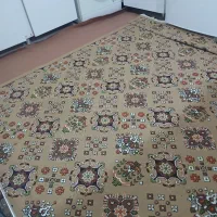 گلیم اشپزخانه|گلیم، جاجیم، گبه|نقده, |دیوار