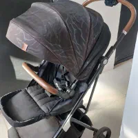 کالسکه با صندلی گردان