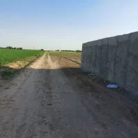 زمین گلتپه کبیر باغ ویلا دامداری سنددار|فروش دفتر صنعتی، کشاورزی، تجاری|قلعه نو, |دیوار