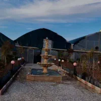 اجاره گلخانه تمام صنعتی فول امکانات|اجارهٔ دفتر صنعتی، کشاورزی، تجاری|ساری, |دیوار