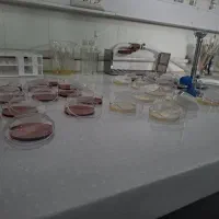 داوطلب(پرستاری)