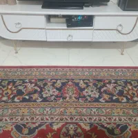 م.ی.ز. تی وی گلدان کافی بار|تلویزیون و پروژکتور|سبزوار, شرق کال شمالی|دیوار