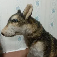 عروسک گرگی|اسباببازی|اسلامشهر, شهرک مهدیه|دیوار