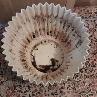 گلدان پلاستیکی|گل و گیاه طبیعی|محمدیه-قزوین, |دیوار