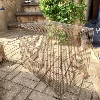 قفس جوجه مرغ عشق خرگوش مینا|لوازم جانبی حیوانات|رشت, اسماعیل آباد|دیوار