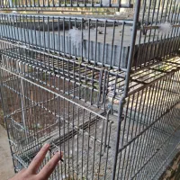 شش خان|لوازم جانبی حیوانات|میبد, |دیوار