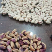 مغز پسته|خوردنی و آشامیدنی|بردسکن, |دیوار