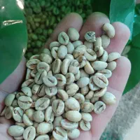 عمده فروشی قهوه|عمدهفروشی|شیراز, سلطان آباد|دیوار