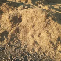 کاه|لوازم جانبی حیوانات|پیشخور, |دیوار