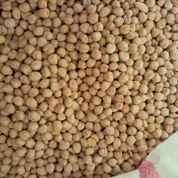 نخود|خوردنی و آشامیدنی|کرمانشاه, |دیوار