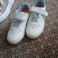 کفش|کیف، کفش، کمربند|بیرجند, |دیوار