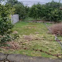 زمین ۱۵۰ متری داخل بافت