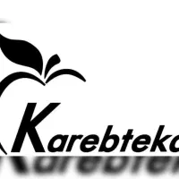 کارگر پاکبان(رفتگر)