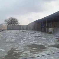 کارخانه خوراک دام وطیور|فروش دفتر صنعتی، کشاورزی، تجاری|خسروشاه, |دیوار