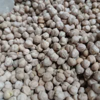 نخود،عدس درجه یک یک نمونه