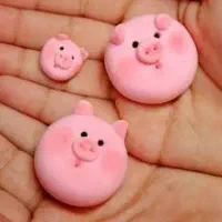 مگنت کیوت