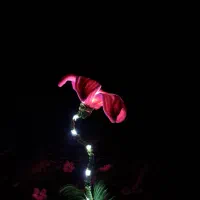 چراغ مطلعه (چراغ درخشان)