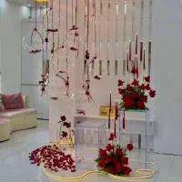 بادکنک آرایی و دکور مراسم النا بالن