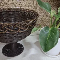 انواع سبد دستباف|صنایع دستی و سایر لوازم تزئینی|اردکان, |دیوار