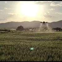 سم پاشی با پهپاد ۳۰ لیتری