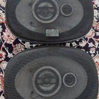 ضبط و باند