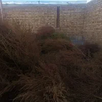 جارو بزرگ  (چارخ)|لوازم نظافت|قیدار, |دیوار