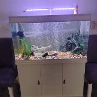 فروش آکواریوم شیک و تجهیز شده