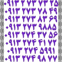 ۰۹۱۳.۸۹۳.۹۲۰۰