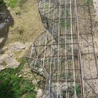 راویز.  رابیس آشپزخونه