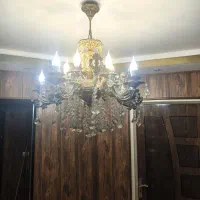 دو عدد لوستر شاخه ای