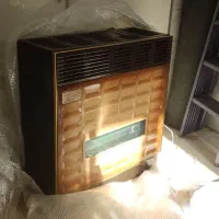 بخاری بزرگ آلیش