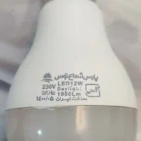 لامپ کم مصرف 12 وات پارس شعاع توس