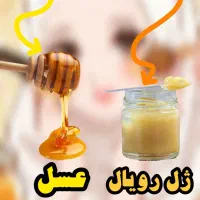 ژل رویال (شاه انگبین)|خوردنی و آشامیدنی|قم, چهار مردان|دیوار