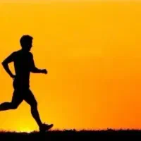 پارتنر جهت پیاده روی