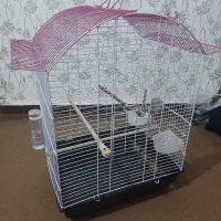 قفس پرنده