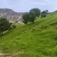 اجاره مغازه