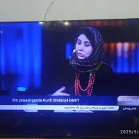 تلویزیون