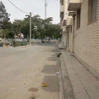 ویلایی-فرخی-با-تجاری-و-قابلیت-خدماتی