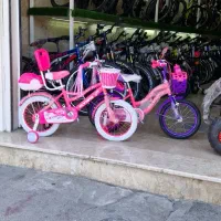 چرخ دخترانه*صورتی بنفش/16