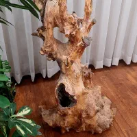 تنه درخت|صنایع دستی و سایر لوازم تزئینی|کرج, گلشهر|دیوار