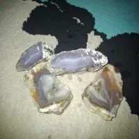 عقیق راف|جواهرات|پردیس, فاز ۳|دیوار