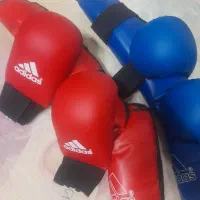دستکش و رویایی کاراته