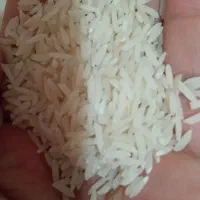 برنج درجه یک هاشمی
