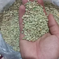 عدس|خوردنی و آشامیدنی|نیر (اردبیل), |دیوار