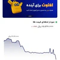 دوتا گوشواره یک گرمی طلا