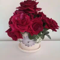 شاخه گل